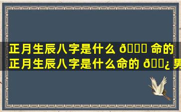 正月生辰八字是什么 🐅 命的「正月生辰八字是什么命的 🌿 男孩」